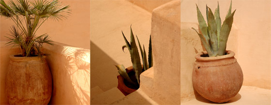 Marrakech (M�dina)