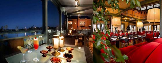 Marrakech (Palmeraie)